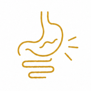 digestivo_icon